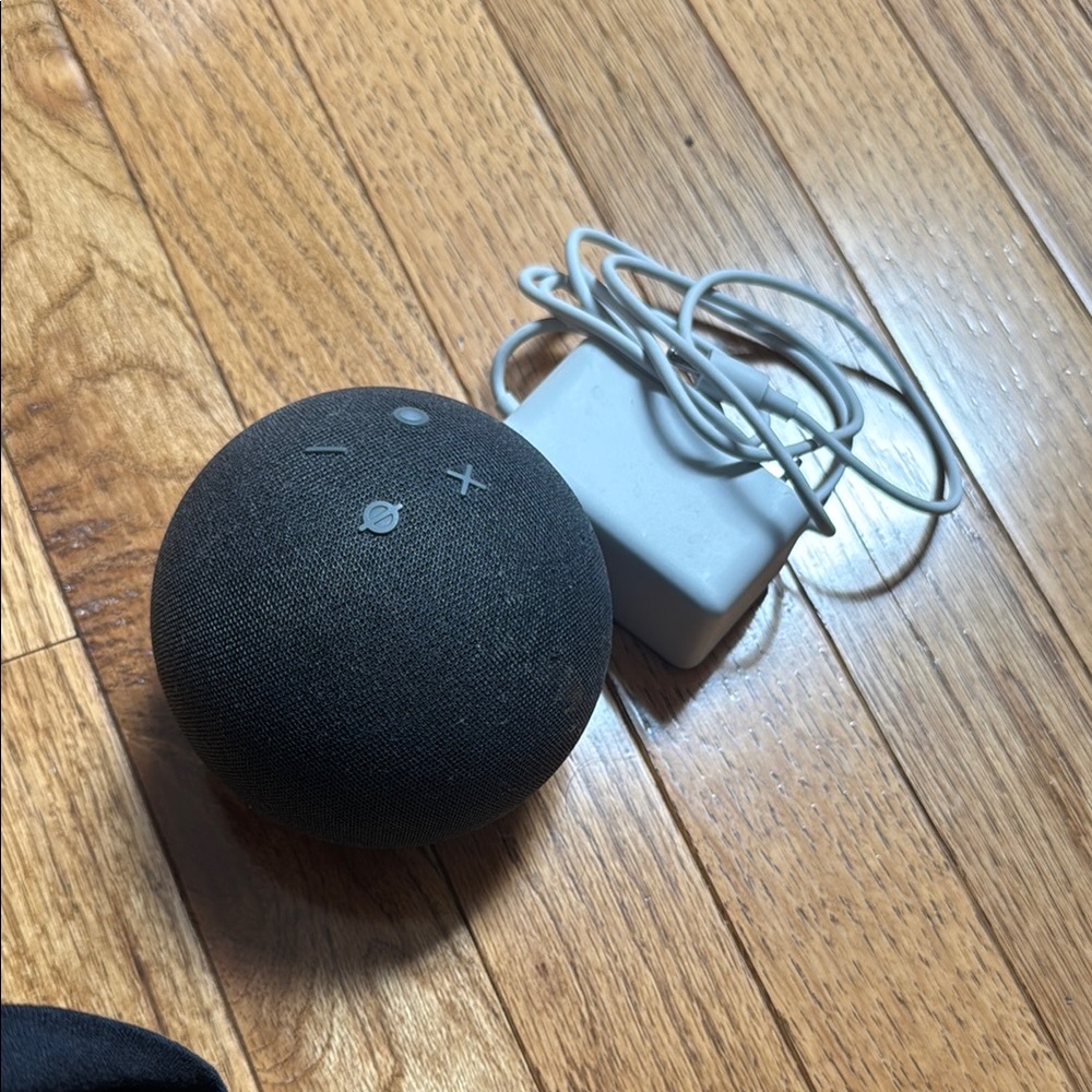 Alexa Echo Dot with Charger